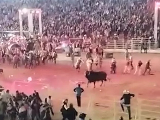 Flash salva fotógrafo de touro que invadiu arena durante rodeio; veja vídeo  - 06/06/2017 - UOL Notícias